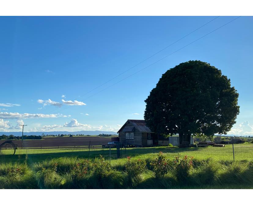 bunya red farm 1