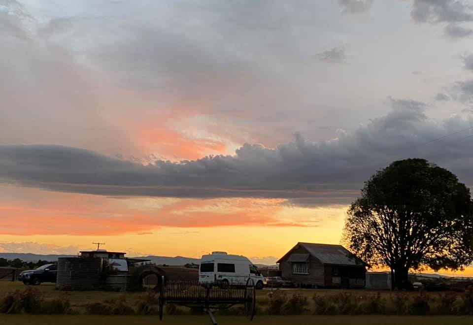 Bunya red farm